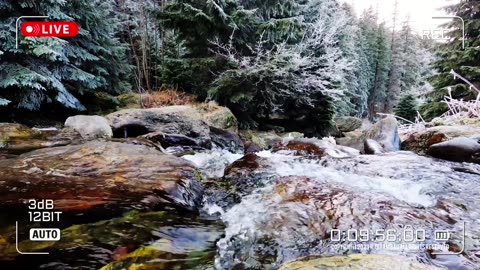 Nature Therapy | Asmr Video No. 076🌈