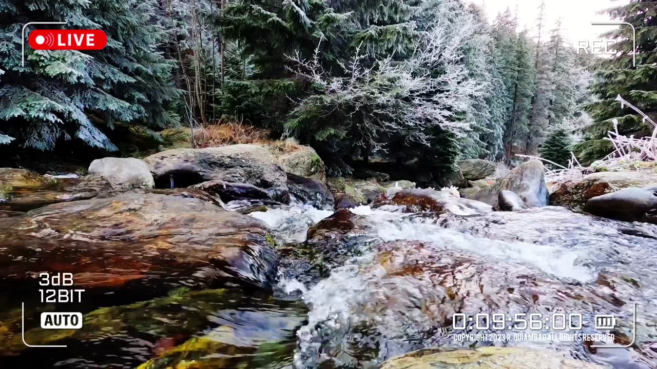 Nature Therapy | Asmr Video No. 076🌈