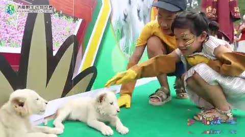 hug the lion