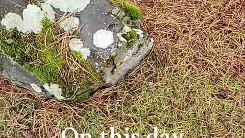 Wisdom Boulders