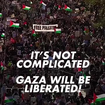 US Pro Palestinian Protests - its Not Complicated