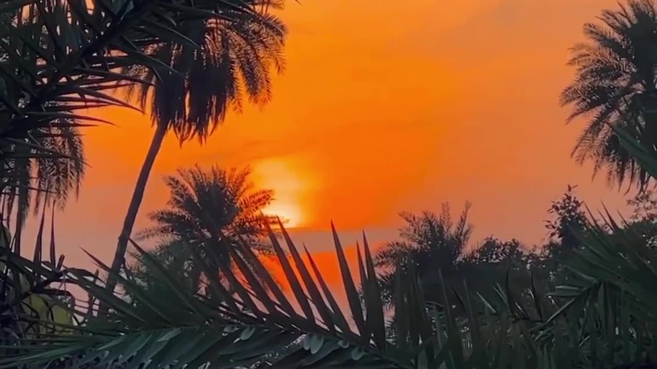 Natural Seen 5