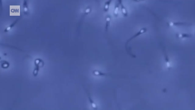 Pfizer Vaccine Impairs Sperm Count: Conspiracy Theorists Were Right