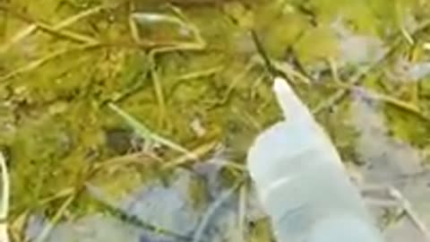 Fishing tips new fish trap