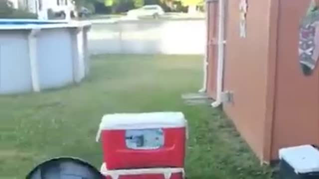 New Funny Clips 2021