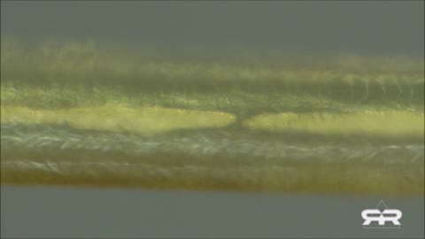 Masivní bio-struktury jsou nacházeny v tělech očkovaných