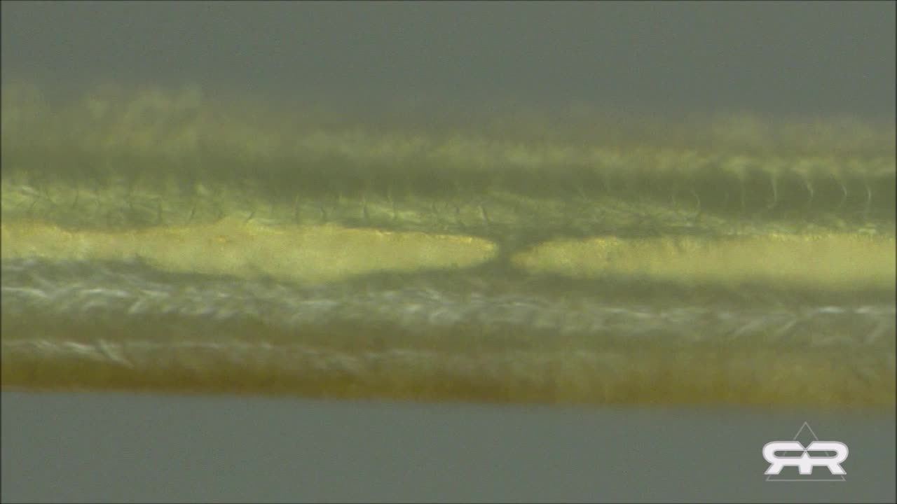 Masivní bio-struktury jsou nacházeny v tělech očkovaných