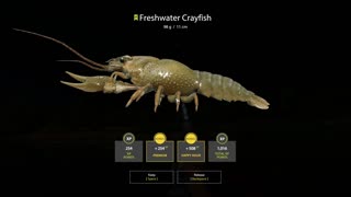 Russian Fishing 4 Sura River Freshwater Crayfish 98g