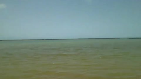 Recording the beach from one end to the other, the sea is big [Nature & Animals]