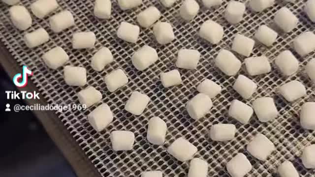 Dehydrated marshmallows