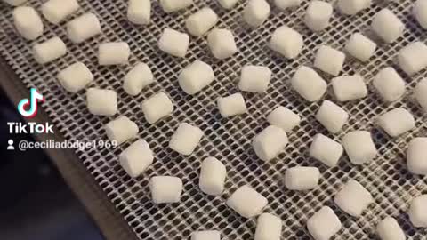Dehydrated marshmallows