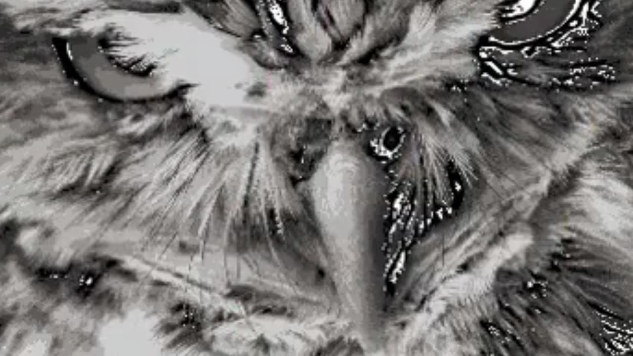 Birds in Motion Simple Techniques for Dynamic Art