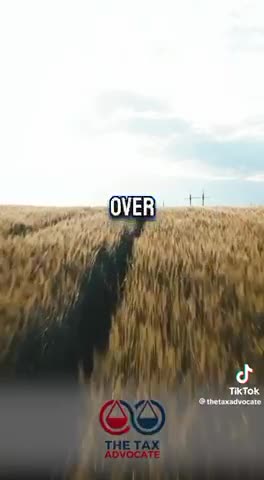 Oprah “Jon Of God, Harvey Weinstein, and Jeffery Epstein” Winfrey | Haiti 🇭🇹