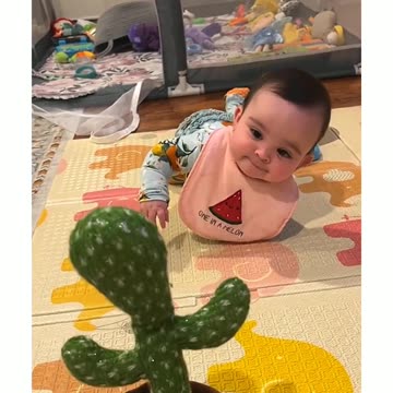 Prickly Performers: The Dancing Cactus