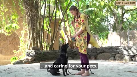 Pet training video