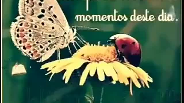 Good morning with this lovely song.