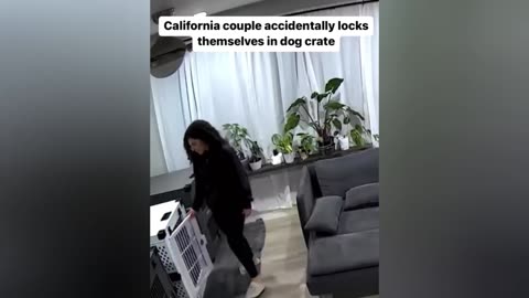 Best Of 2023 - Best Fails