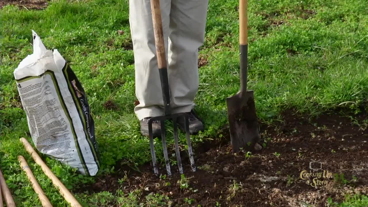 Organic Gardening Practicality