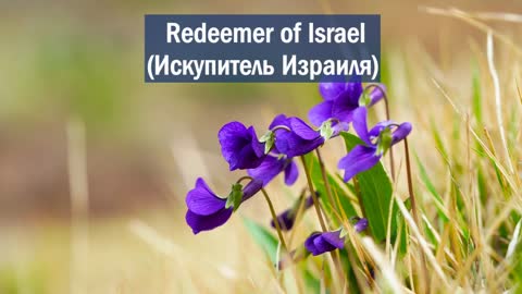 Bless the Name of Yeshua(Благослови Имя Йешуа)