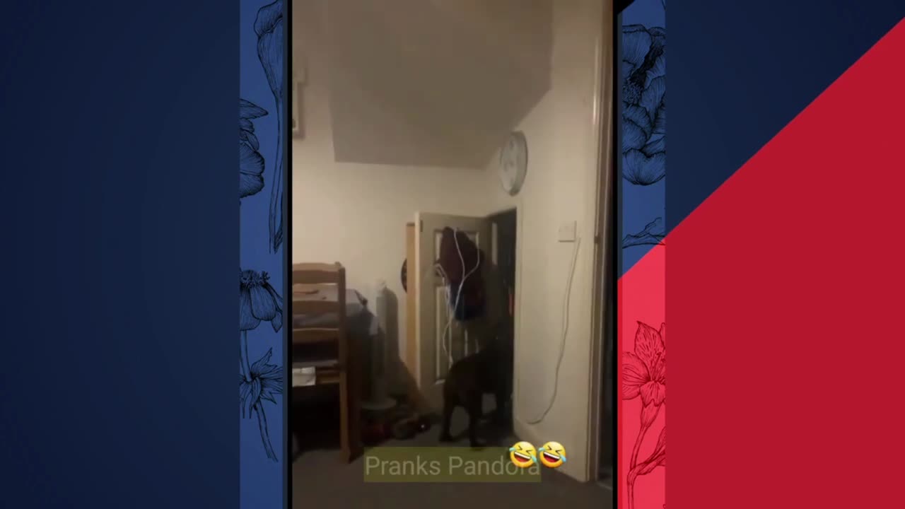 "Son Scare Prank: Hilarious Reactions from Mom and Dog!"