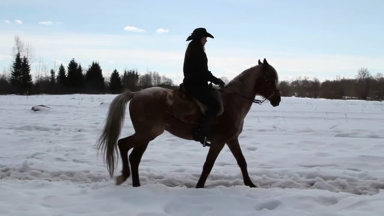 Girl cowboy on a horse - a step backwards