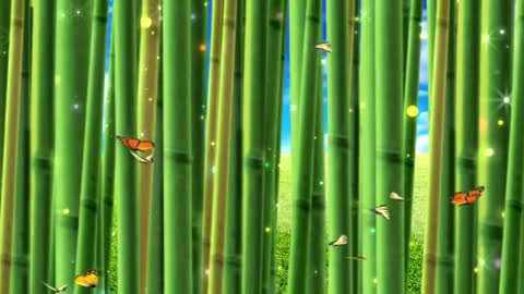 bamboo