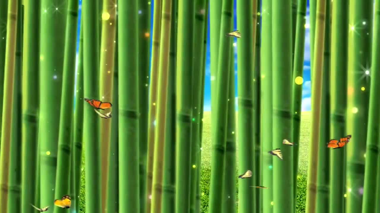 bamboo