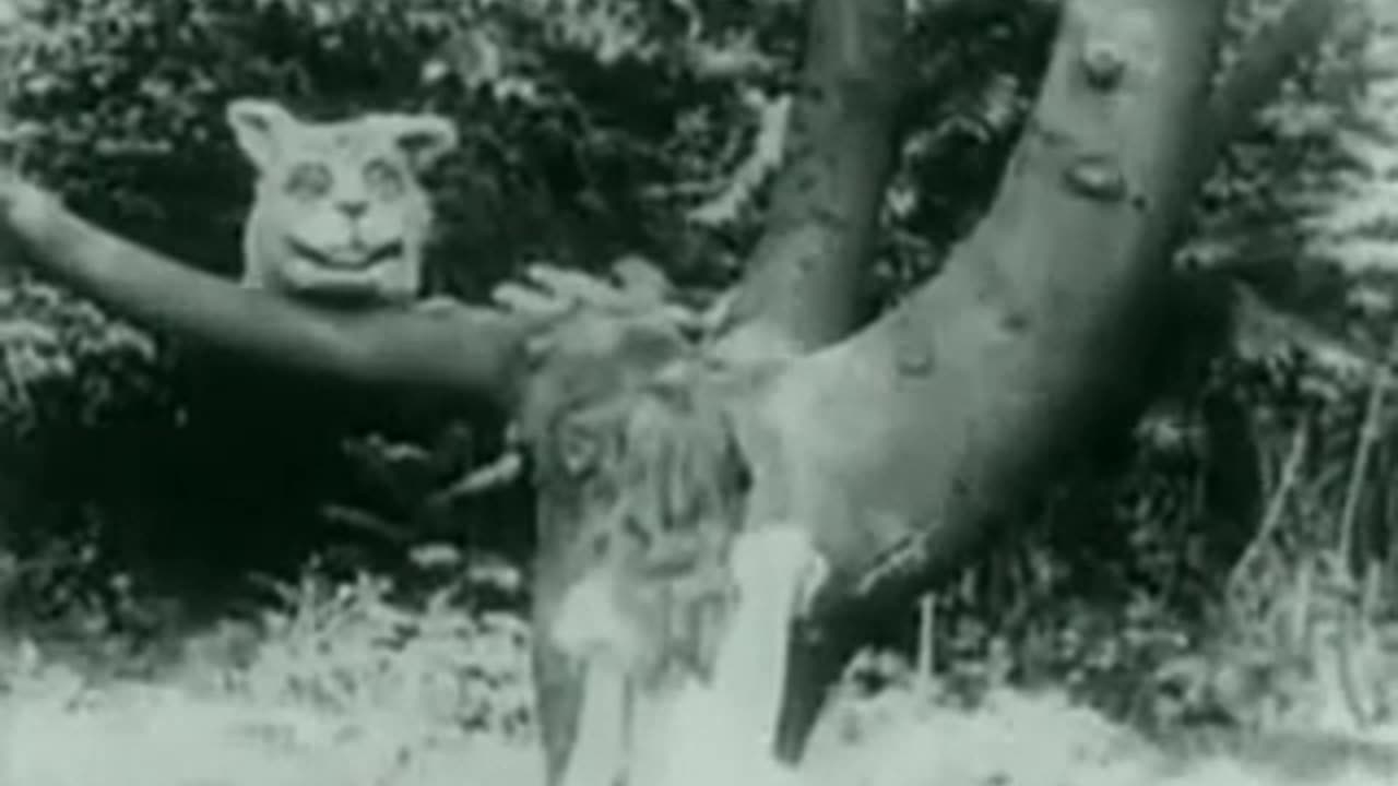 Alice in wonderland 1915 movie
