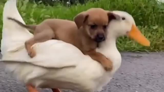 🤩 Best friends Forever❤️