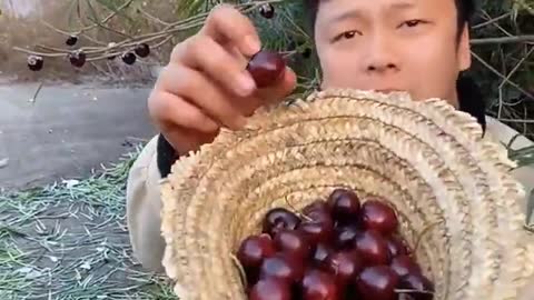 Farm Fresh Ninja Fruit Cutting Desi Satisfying Fruit Ninja Fruit Ideas | Amazing Fruits Video