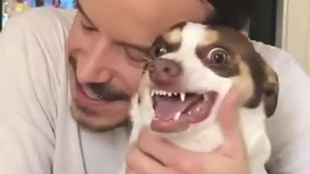 Top funny video of dog 😂😂🤣