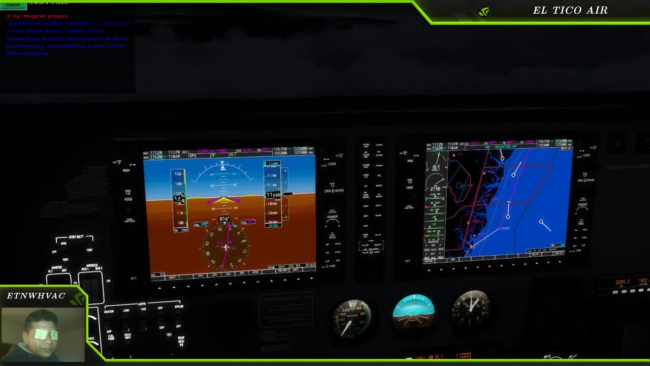 Microsoft Flight Simulator - Meeting Fellow Pilot on VATSIM!!!