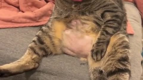 Leave me alone, im watching TV!