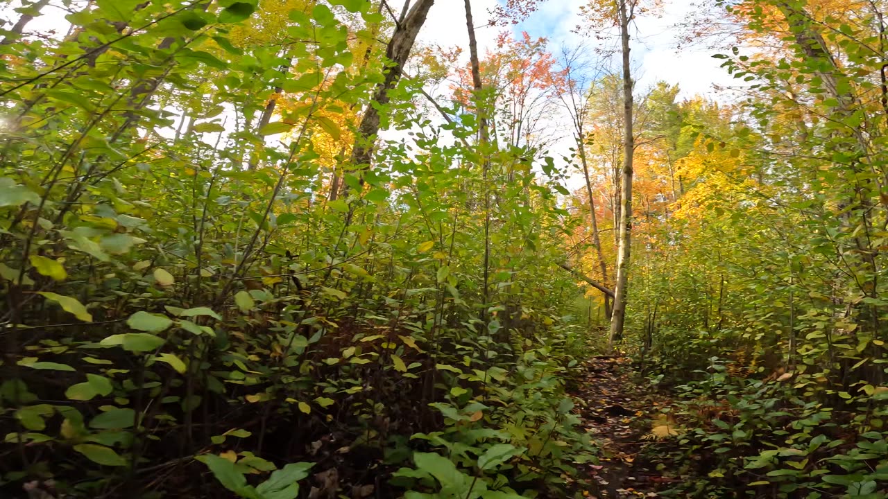 🌴 Welcome To Slack Trails In Ottawa🍂🍃 Fall Edition 🍁Canada 🍎