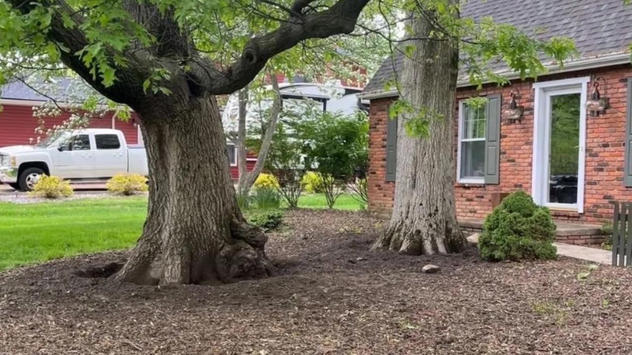 JamesTree Service in North Royalton, Ohio