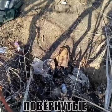 Ukraine war combat footage 11/25/24