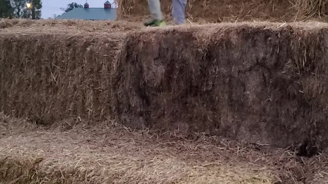Jbird Dance at Farm 2021