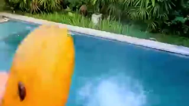 Only boys will understand this video