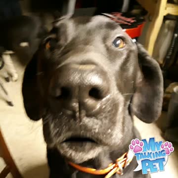 We tried but got cheated