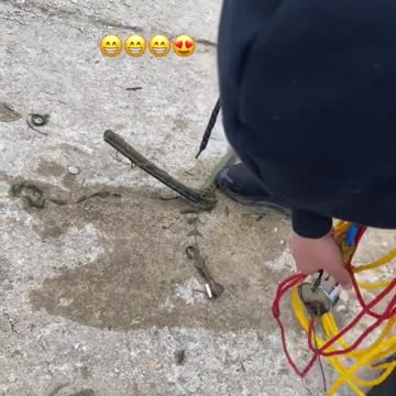 funny|prank|jokes|funny jokes|dad jokes|funny memes|funny video|fun|laughing|funny animal|knock