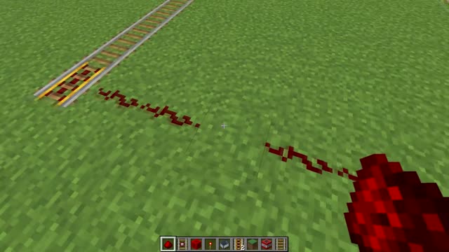 best pig and cow raceee