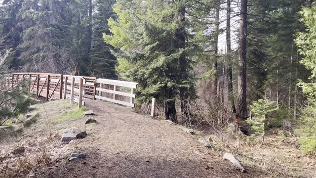 Crossing a Bridge at Link Creek Campground – Suttle Lake – Central Oregon – 4K