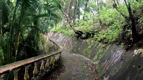 The Path to El Miro in Costa Rica Part: 5 "Path to the Top"