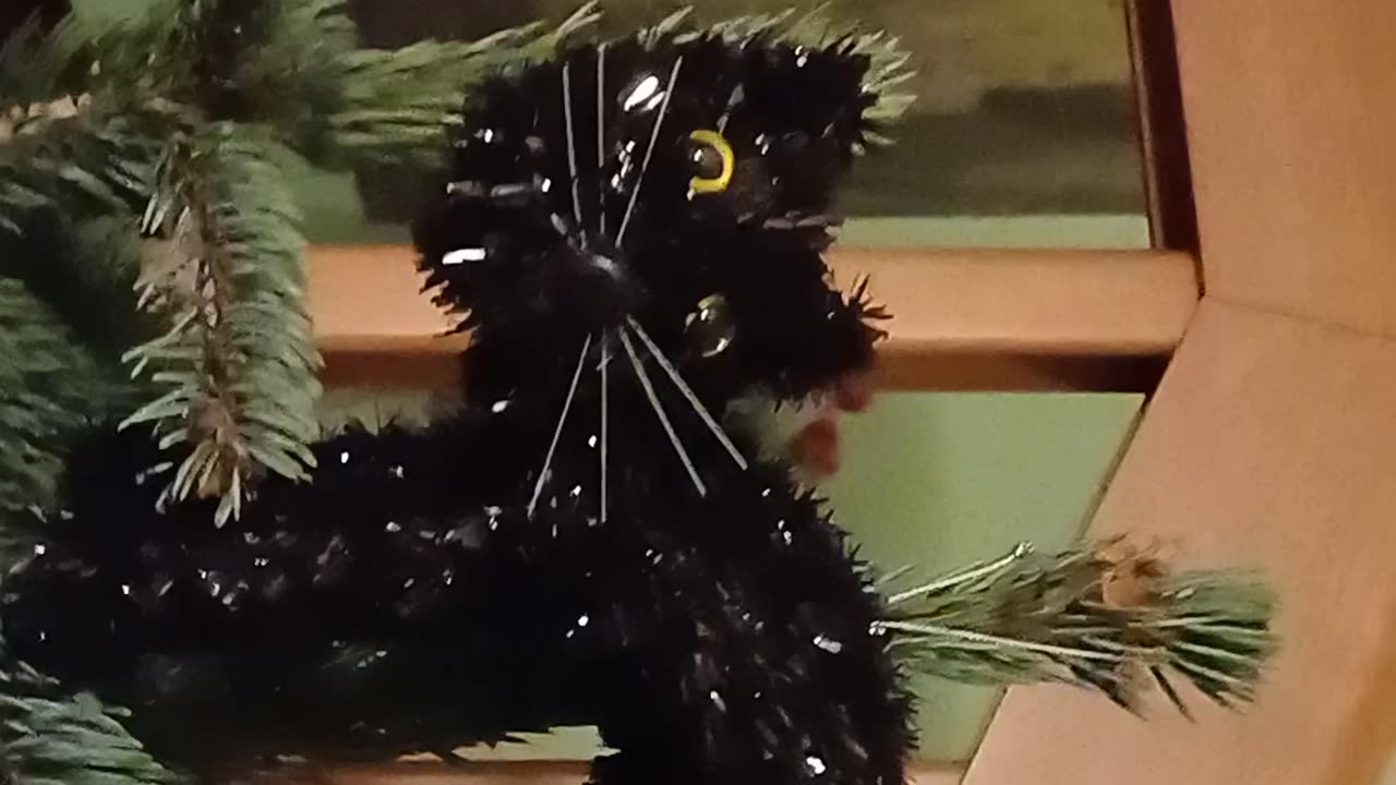 Baby Christmas Tree