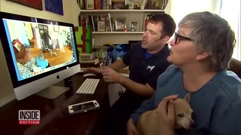 How to dogs react with new people