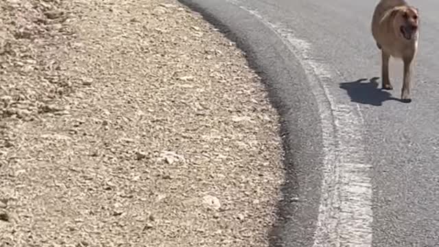 Her beslememiz sonrası beni böyle yolcu ediyorlar kimde var bu vefa