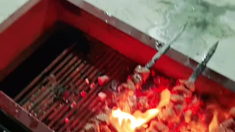 BBq 2023