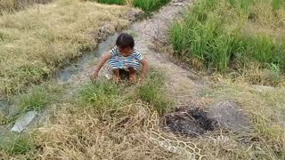 Little Girl Fearlessly Plays With A Python