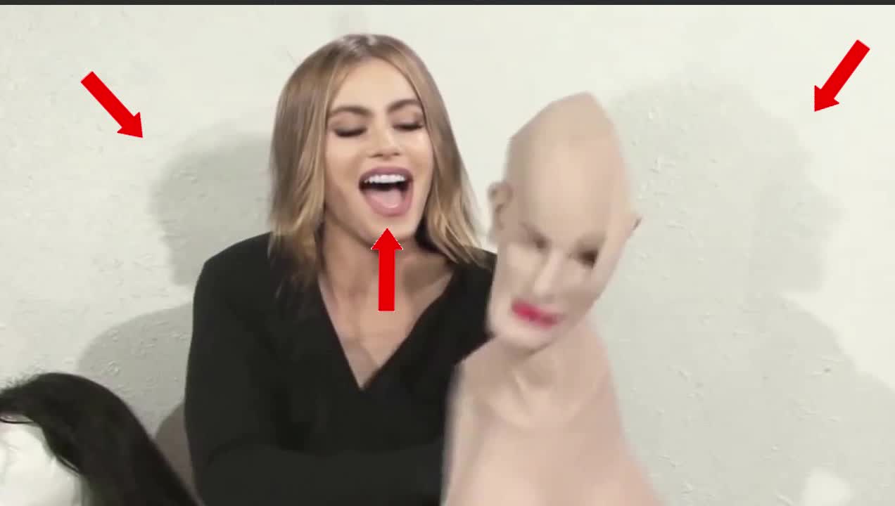 FAKE MASK or NOT