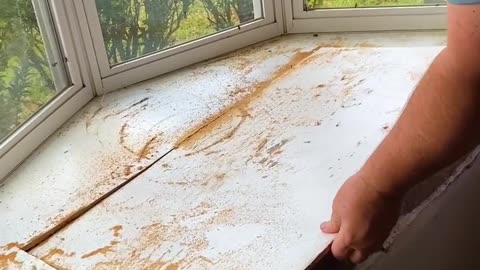 Finding animals in random places.